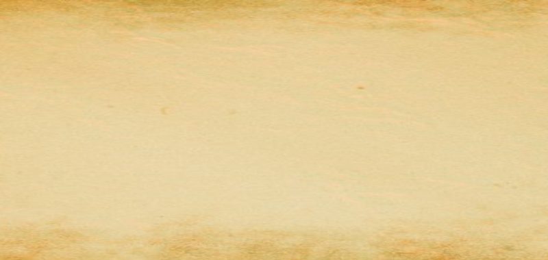 HEADER-BACKGROUND.jpg